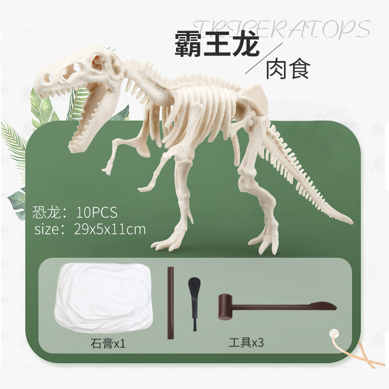 큰 해골 티라노사우루스 렉스