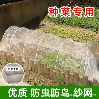 防虫网家用种菜防鸟网菜地专用拦鸟神器大棚农用拦鸟罩防鸟网纱