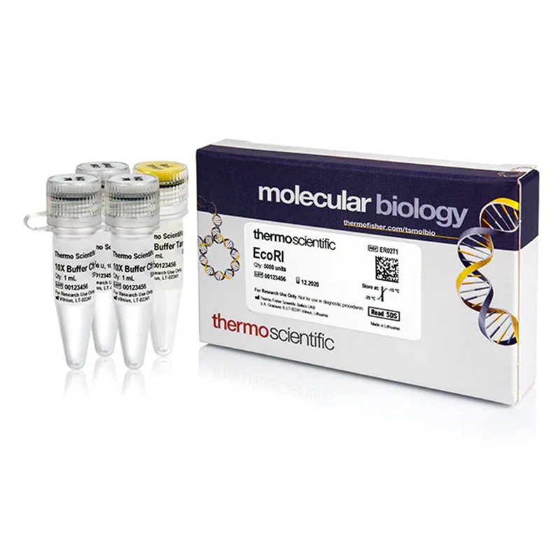 ER0271 赛默飞thermo  EcoRI (10 U/μL)  5,000 units