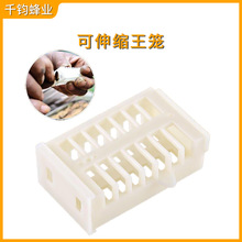 蜂王笼 囚王笼中意蜂多功能王笼塑料王笼双层可伸缩储王器
