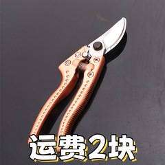 メーカー卸売ガーデンツール果樹果実剪定ばさみ園芸太い枝剪定ばさみSK5果実剪定ばさみステンレス鋼はさみ
