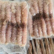 ƤƤ�r��ȥ�������r�������r����o�����ֹ�������S���