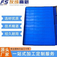 厂家直供食品级塑料解冻机网带 耐高温-40℃~120℃ 加厚防滑传送