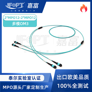 24оMPO��֧���w����OM3��ģ2MPO-12�D2MPO-12 PC/APC�f�׵͓p��