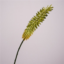 ���滨���lܛ�z�JȔ���Ꭷˇ�g�廨��ˇ���������҃Ⱦ��^���l