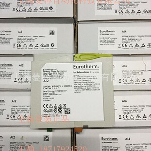 Module De Sortie Analogique Eurotherm 2500M/AO2UNIV - 2 Canaux - Occasion Fonctionnel