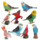 Amazon hot selling flying birds solid static parrot model tiger skin macadamia cockatoo fun ornaments