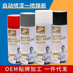 450ml Haoshun Metal Paslanmayan Avtomobil Rəng Dəyişdirən Divar Boyası Ekoloji Avtomobil Sprey Boyası