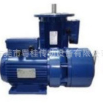 SEIPEE刹车电机 SEIPEE刹车马达 意大利SEIPEE电机 JM63C2