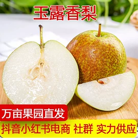 其他水果;梨;番薯类