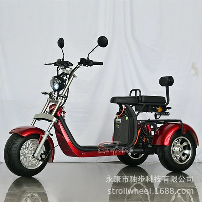 Processing and Customization, Elektrikli motosikletlər