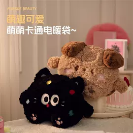 电热水袋;充水热水袋;USB风扇