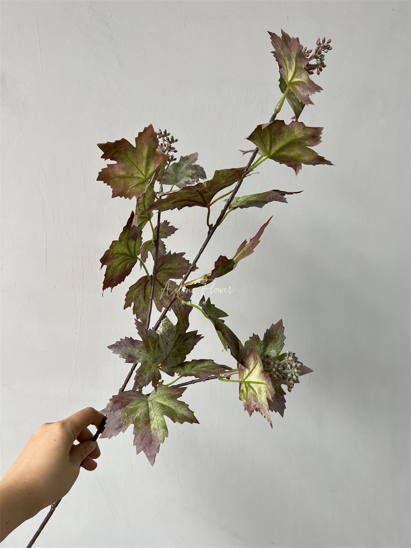 Grape leaves