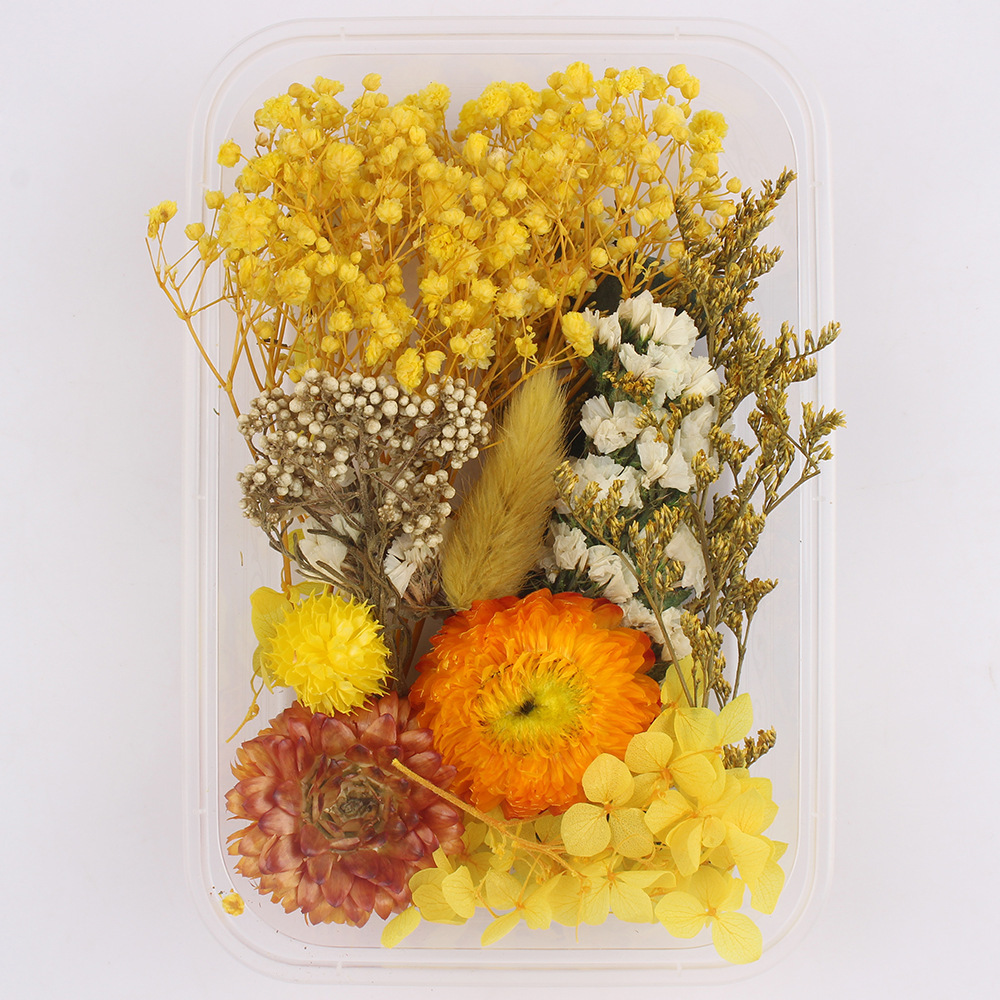 Flores secas preservadas hechas a mano, marco de fotos DIY, decoración mixta, materiales de aromaterapia, flores naturales, ramo de regalo para boda, San Valentín