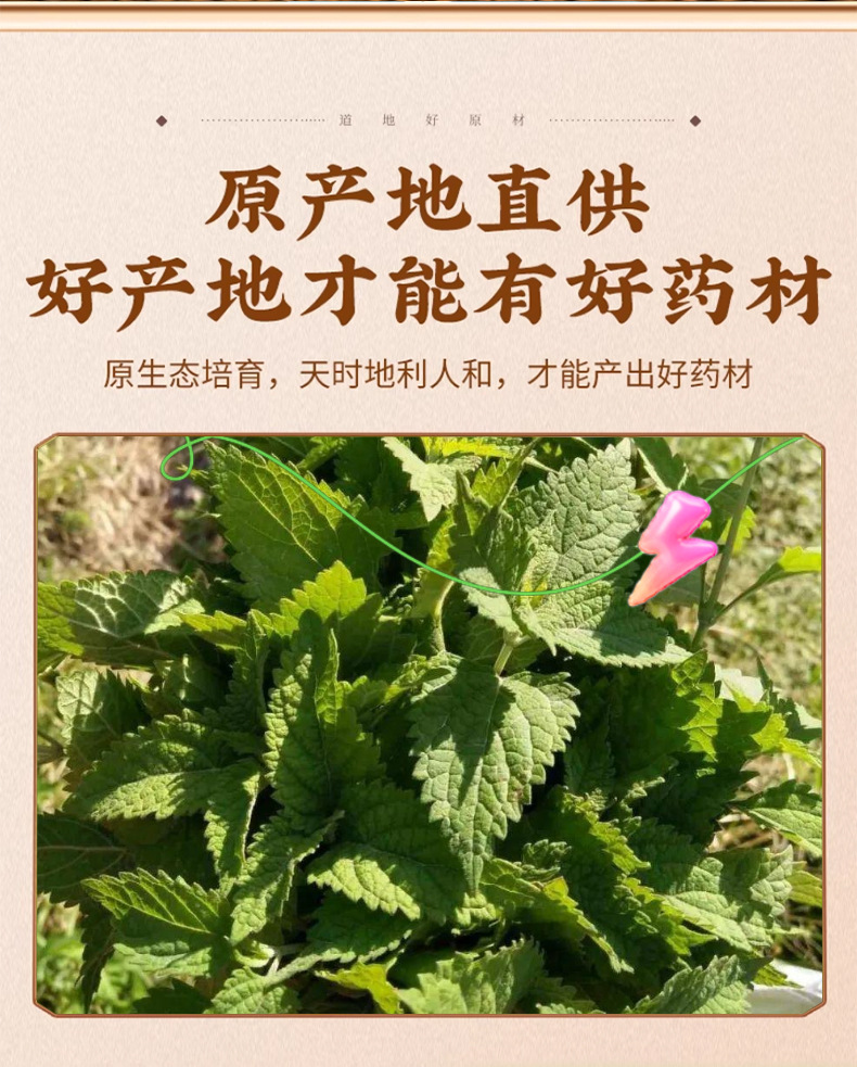 Dried Rabdosia Rubescens Herb Dong Ling Cao Natural Sun Dried Herbal Tea Leaves 500g key features
