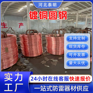 Copper-Clad Steel Round Rod, Copper-Clad Steel Round Wire, Copper-Clad Round Wire, Lightning Protection Grounding, Copper-Clad Steel Grounding Rod, Copper Rod, Vertical Lightning Protection