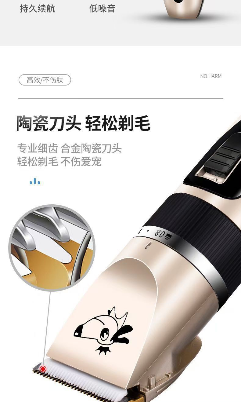 0ea37a29-a095-4806-a8db-140015a9d1c0.jpe