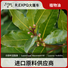 ¹~ϣDMԭlwSPAĦAֲʹ܇