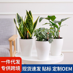 �A���������㱱�W�L���s������������͏d�[�OС����