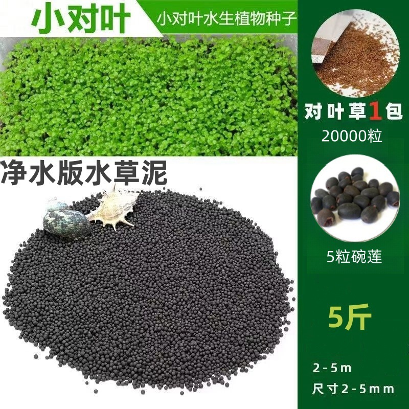 [핫세일] 워터그라스머드 2.5kg - 작은 쌍잎 20,000개 + 그릇연꽃 5개 무료