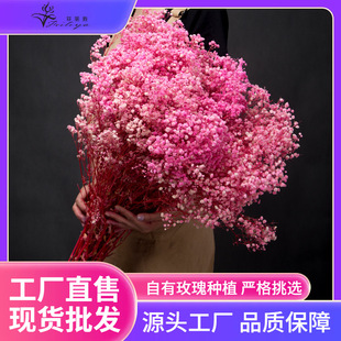 ��������M���Ǹɻ����l�������滨�ؔ������Y�﹤�Sֱ���羳���