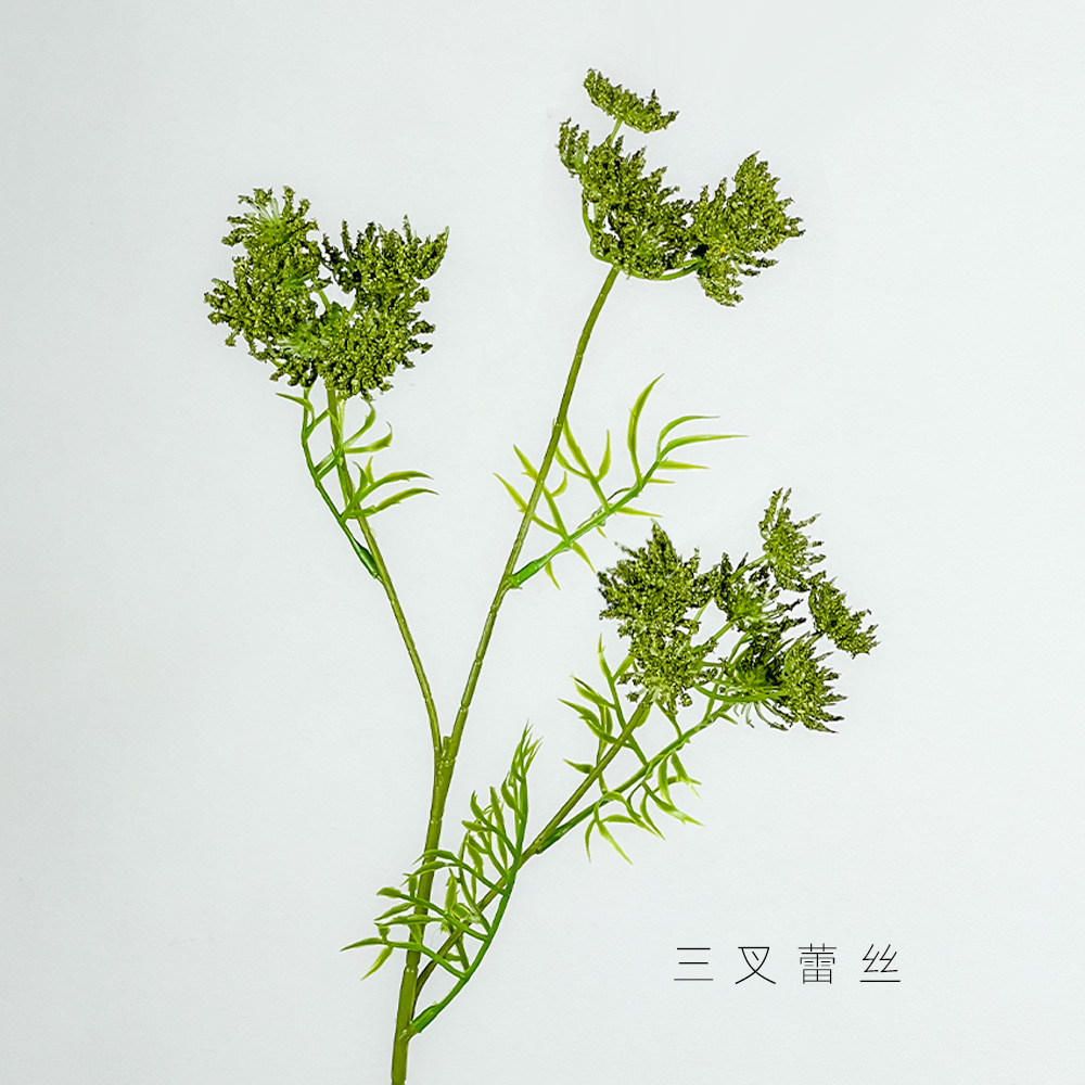 녹색 3갈래 레이스 꽃