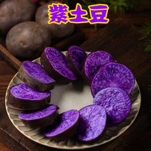 ���r�������������10�ﻨ���غ����������˺ڽ������R��������