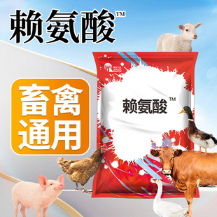 ���Aǧ���F��ه�����iţ����iС�i�Bֳ���L������ӄ��u���Z����