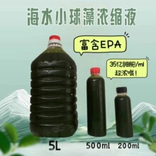 轮虫贝类饲料水产养殖育苗专用高EPA 海水小球藻浓缩液拟微绿球藻