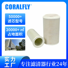 ����������1109070-2000-C00A P641356 C2780 CF16229��о��ȫ