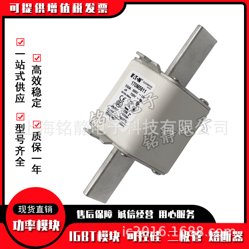 170M5693 170M5694 170M5695 170M5696巴斯曼熔断器现货