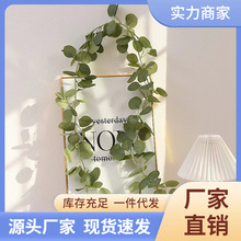 ܛ���ٗl�����~������Gɫ�b��L2026����Gֲ�羳�ȼ�����Ʒ