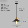 Light source, 22cm