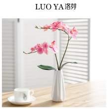 ���s�p�ݸ߼����մɻ�ƿ���滨�ٻ��廨����ƿ�͏d�����廨�[��