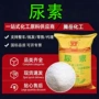 脱硫脱硝结晶污水尿素