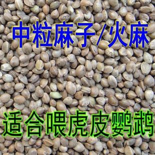 �����ʎ���������500�˻����Bʳ�B�Z�}�����ӼZʳ1�����l��Ʒ