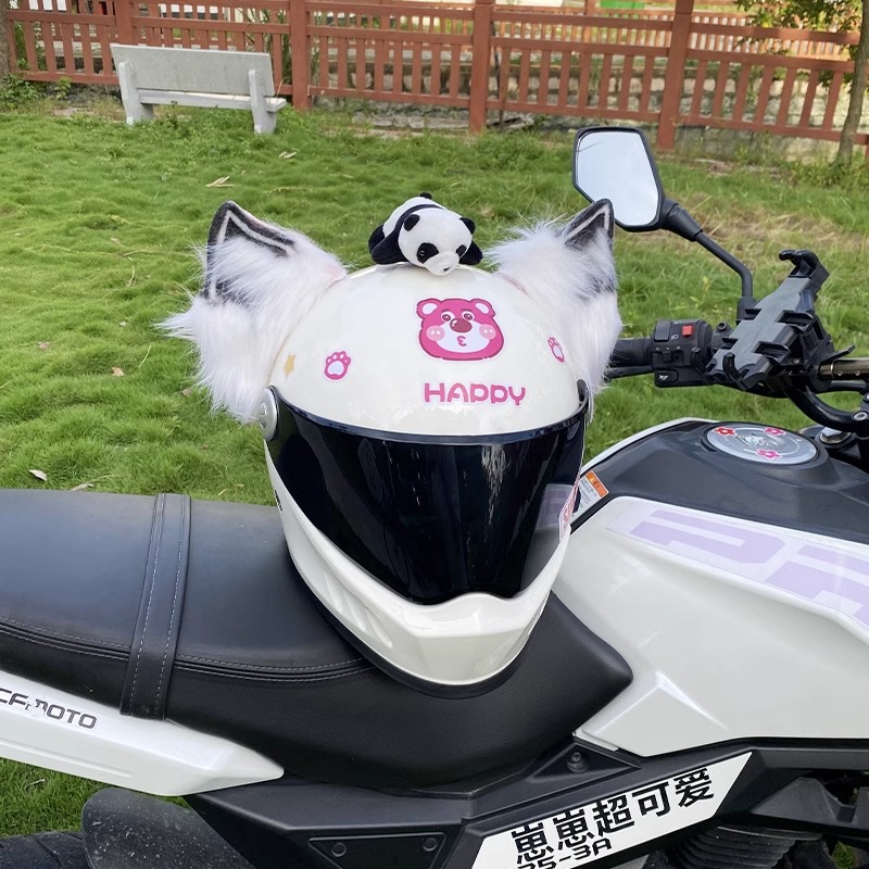 Helmet Decoration Cool Detachable Motorcycle/Ski Helmet