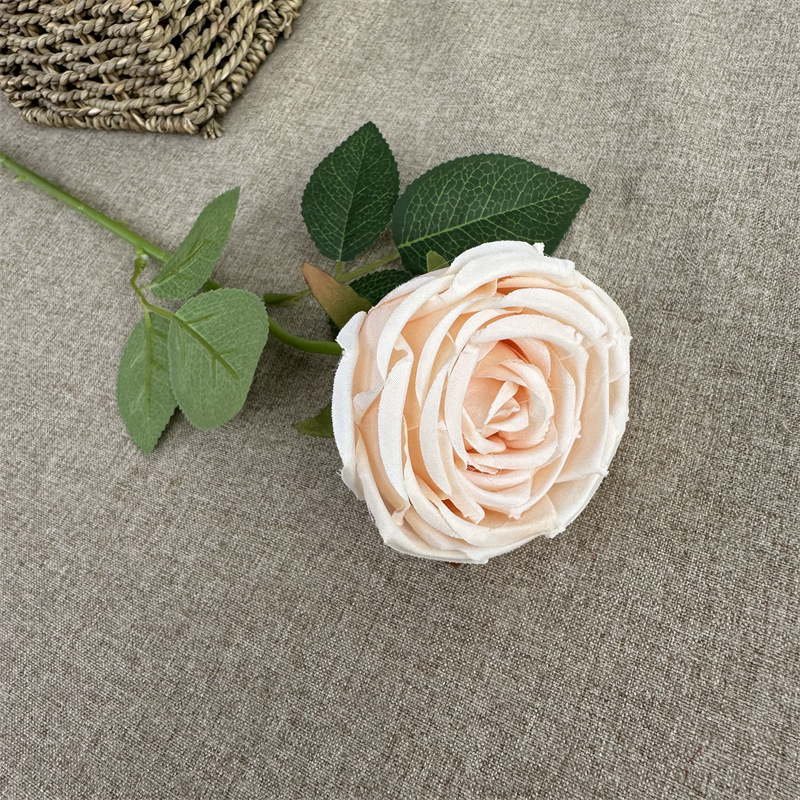 Single French Rose Champagne