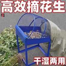 ժCʽxˤC˦Cքժɝü