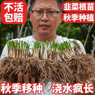 �²˸����ϸ��ļ��t�����~�²˸����l�̨�r��С�~����²�����