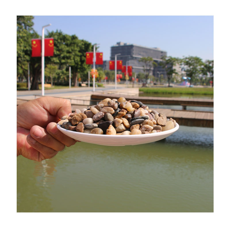 �����껨ʯԭ��������Сʯ����׻������ͥԺװ��԰�����ʯͷ