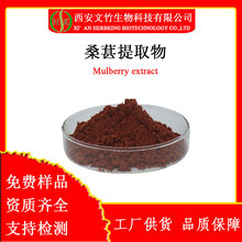 ɣȡ10:1Mulberry extract ɣط ɣȡ 