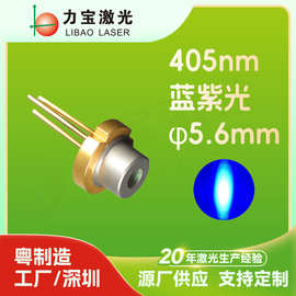 源头工厂大量供应405nm蓝紫光  激光二极管   光斑稳定 功率强劲