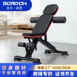 其他健身器材;其他搏击用品;健腹器