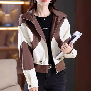 Fashion Contrast Color Jacket Women's 2024 Spring and Autumn New Hooded Collar Short All-Match Design Sense Jacket