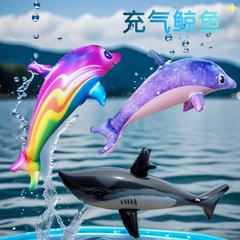 クロスボーダー星空インフレータブルイルカ魚祭りアレンジ玩具インフレータブルサメカラークジラ小道具スポット卸売