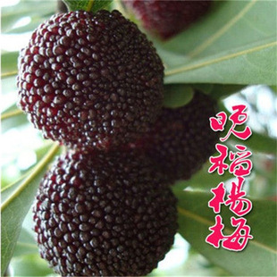 �����|����÷����m�ش��÷�m�ϱ����Nֲ���Ե��Թ����m����Y��