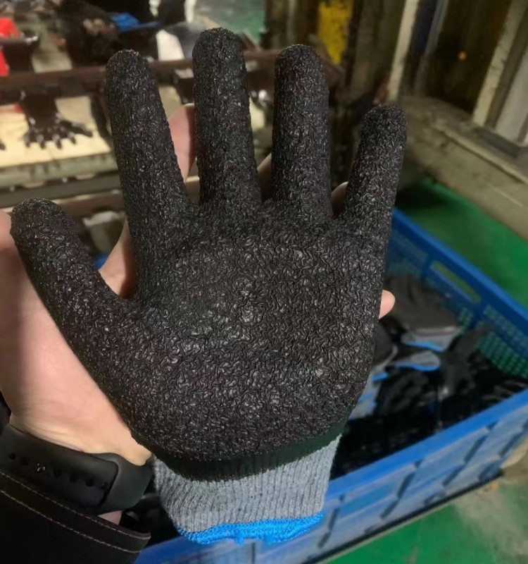 IMG_6544(20230224-144646)