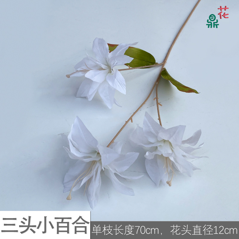 세 머리 릴리 LS 화이트