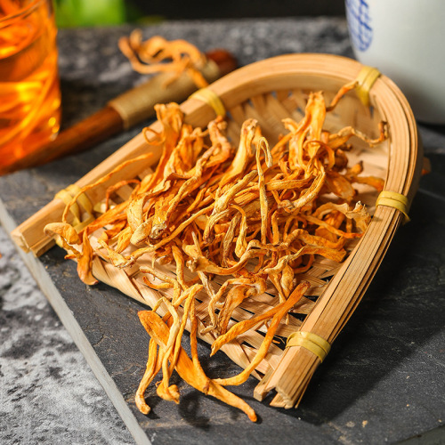 Wenming Cordyceps Flower Canned 40g Cordyceps Flower, Fungus Cordyceps Specialty New Product, Fungus Cordyceps Flower Shipping